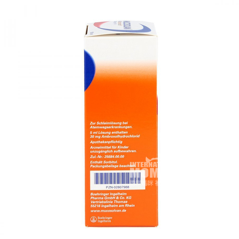 [2 개] MUCOSOLVAN 독일어린이과일거담제및폐구제솔루션해외버전