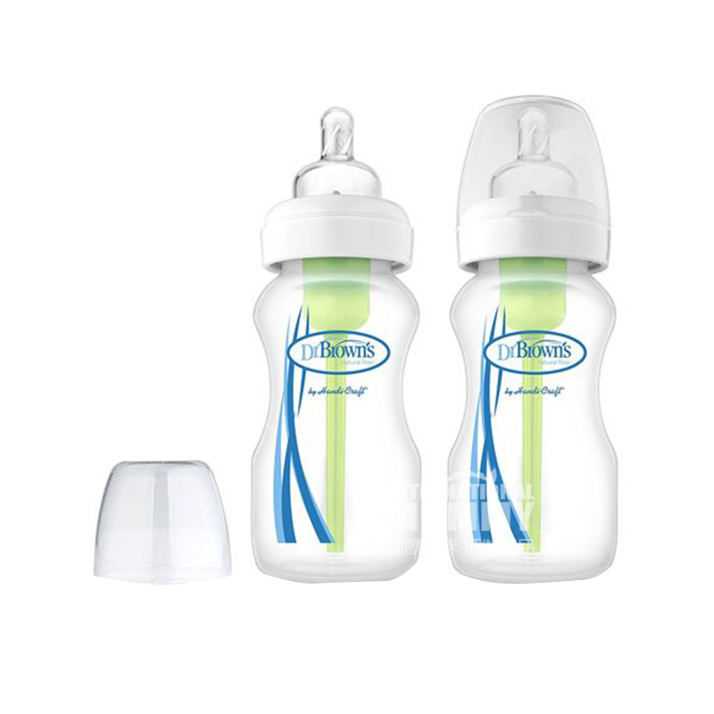 Dr Brown`s 미국광구경 PP 젖병 270 ml 2 개포장 0 - 3 개월해외버전