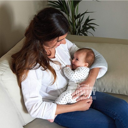 Candide 프랑스모유수유팔걸이해외버전