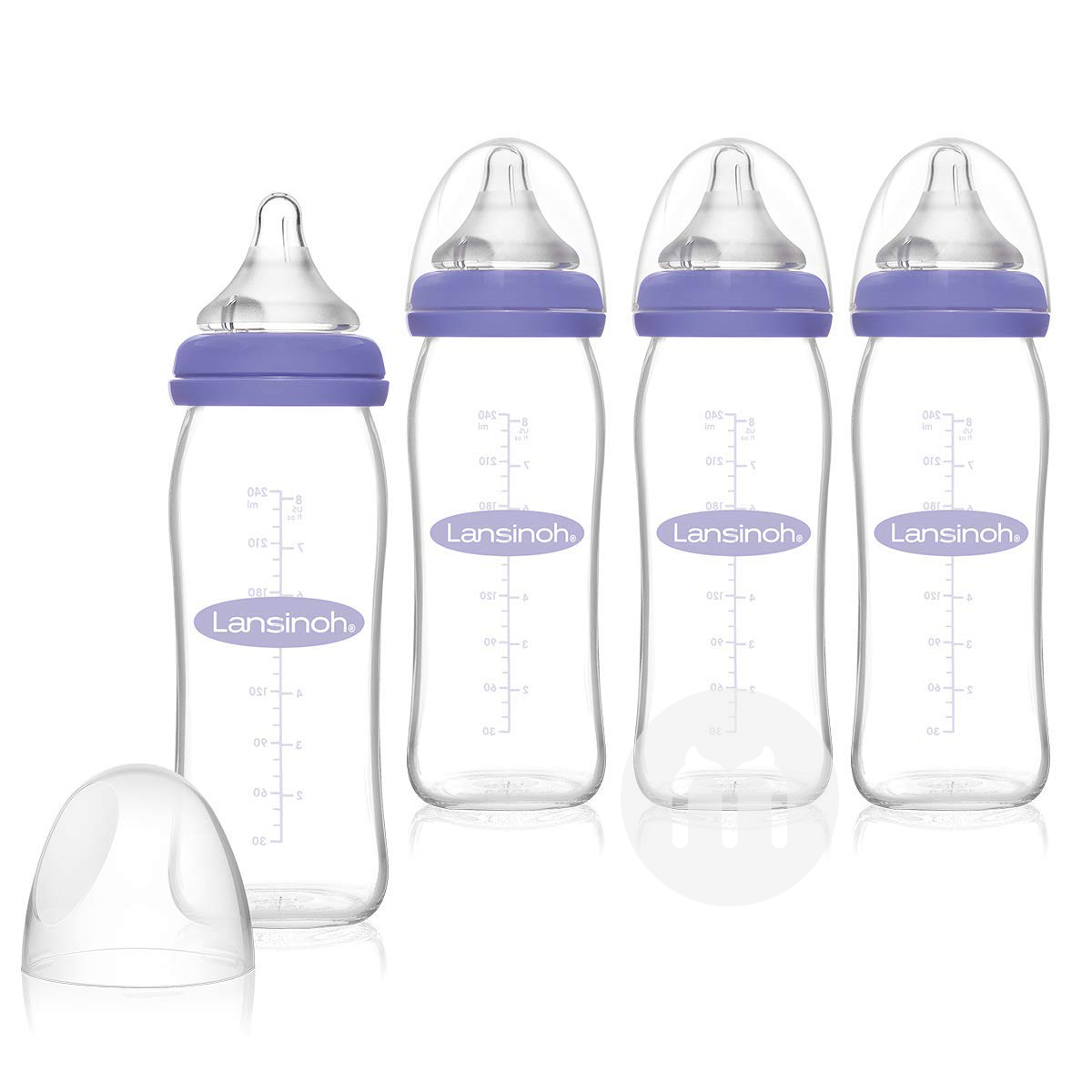 Lansinoh 240ml 4 피스유리병해외버전