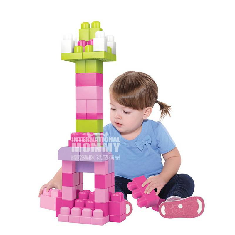 MEGA BLOKS 미국기본빌딩블록 DCH54 해외버전