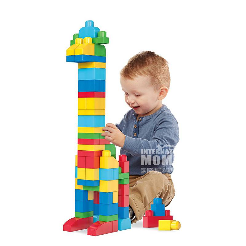 MEGA BLOKS미국기본빌딩블록 DCH63 해외판