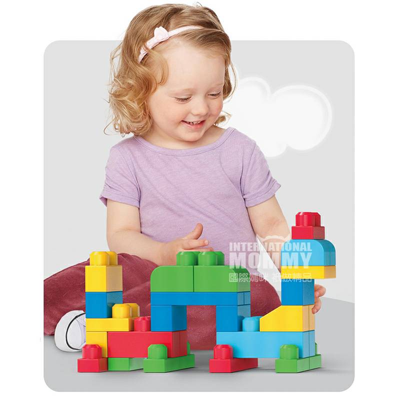 MEGA BLOKS미국기본빌딩블록 DCH63 해외판