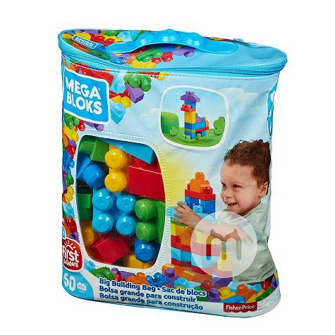 MEGA BLOKS 미국기본빌딩블록 DCH55 해외버전