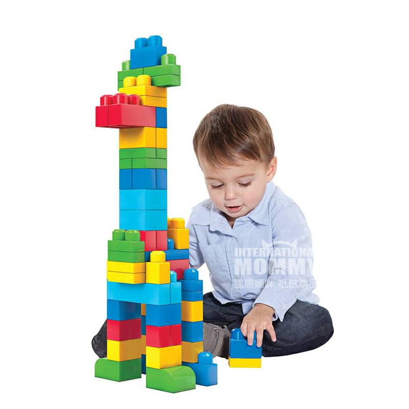 MEGA BLOKS 미국기본빌딩블록 DCH55 해외버전