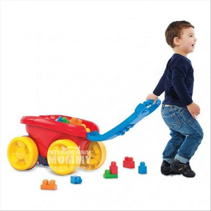 MEGA BLOKS 미국블록CNG23 해외판