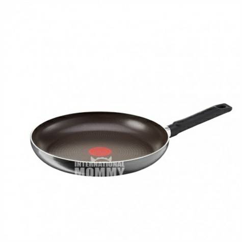 Tefal 프랑스 A16806 논스틱팬 28cm 해외버전