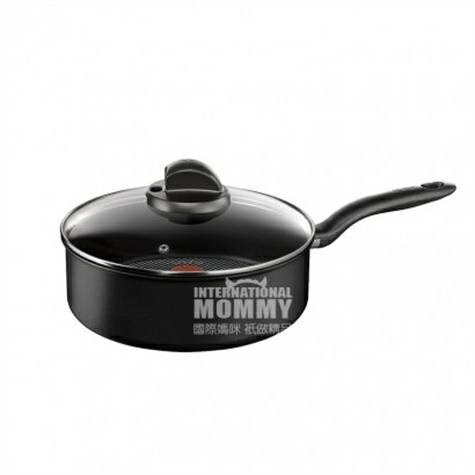 Tefal 프랑스 C68032 초경합금수프냄비 24cm 해외버전