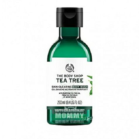 BODY SHOP 영국바디샵티트리바디워시해외판