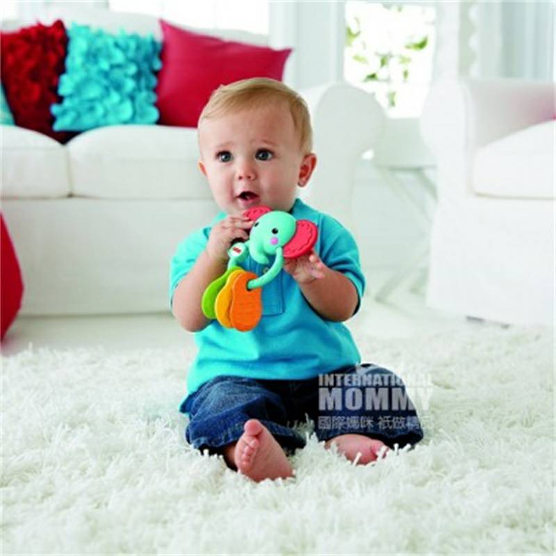 Fisher Price 미국코끼리잇몸장난감해외버전