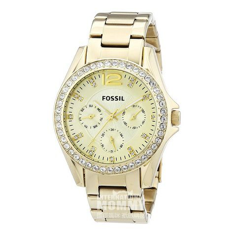 FOSSIL 아메리칸레이디스쿼츠시계 ES3203 해외판