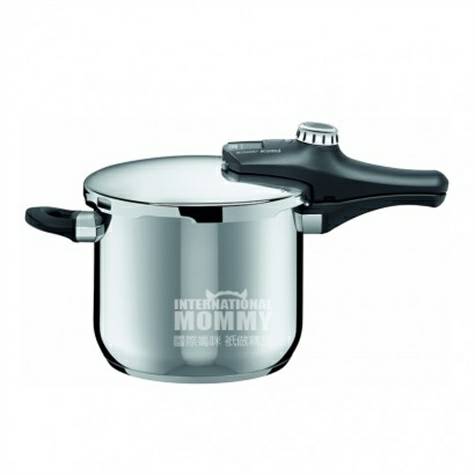 Silit 독일 ntrol 압력솥 6.5 리터해외버전