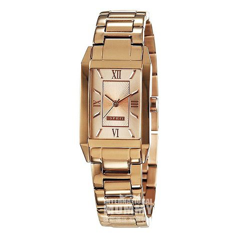 ESPRIT 아메리칸레이디스쿼츠시계 ES000EO2013 해외판