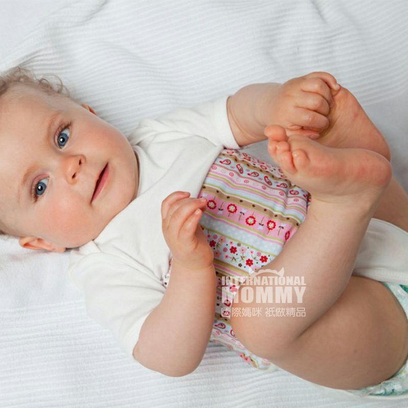 Belly protection 독일포도씨앗아기가슴과복부열베개랩해외판