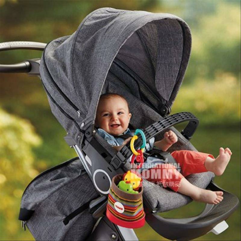 Fisher Price미국아기해외버전,피셔프라이스동물파트너