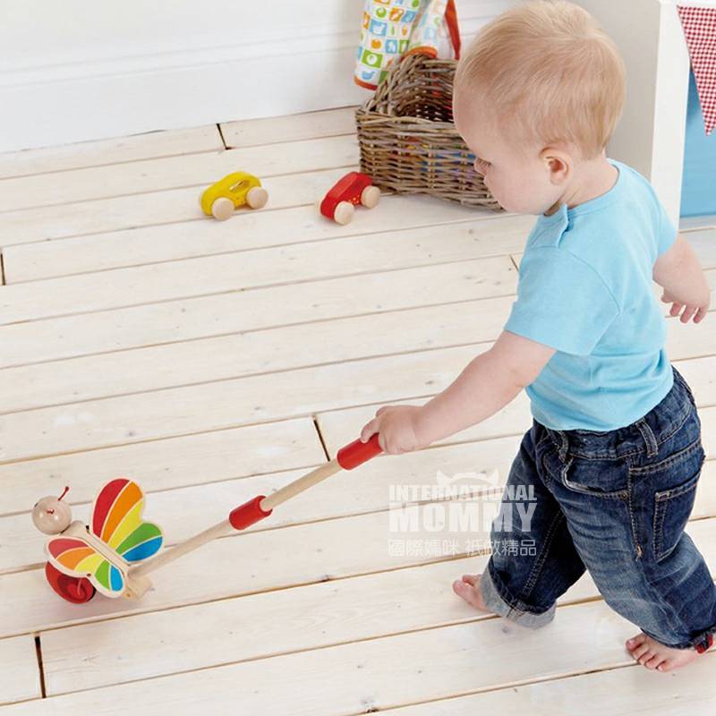 Hape 독일 Butterfly 푸시앤롤해외