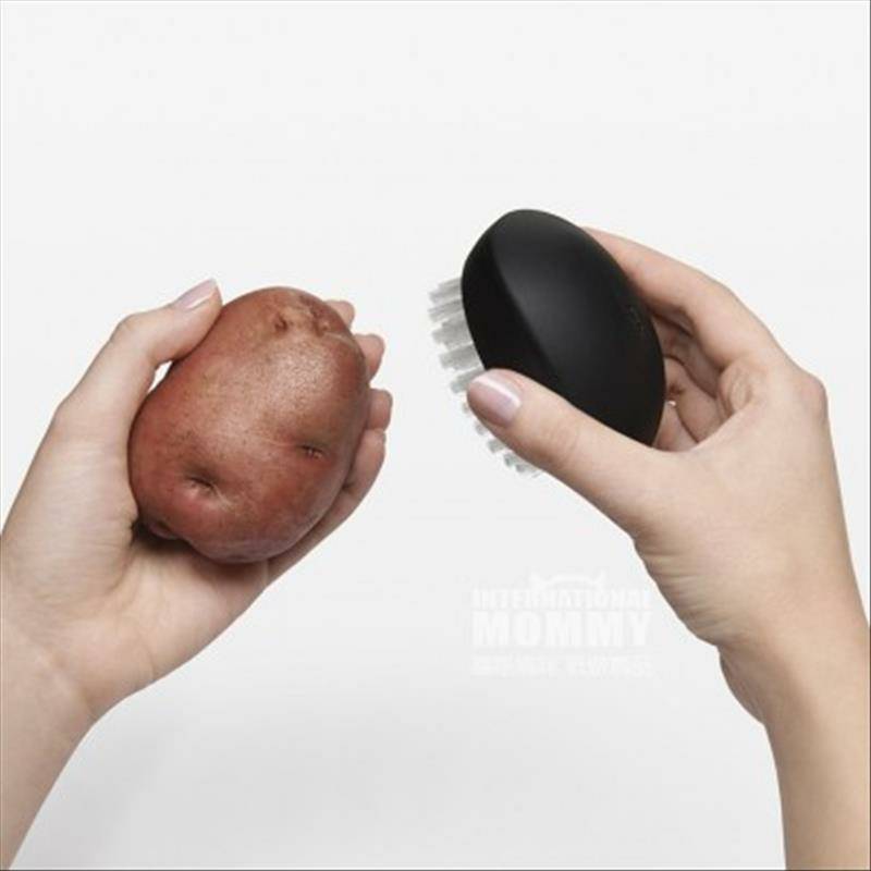 OXO 미국청과청소솔해외버전