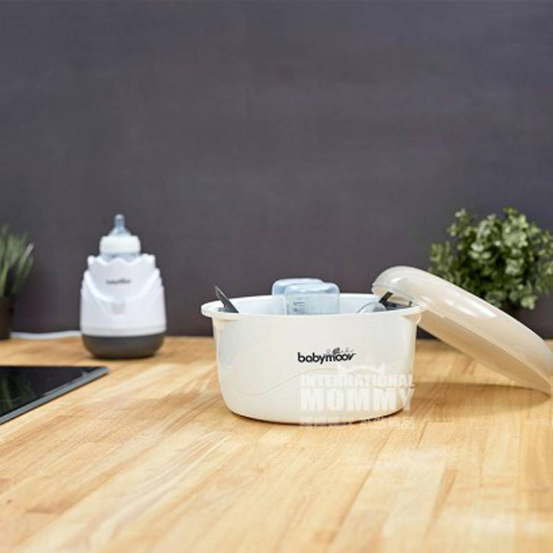 Babymoov 프렌치마이크로웨이브살균박스해외판