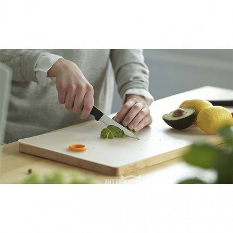 FISKARS 핀란드과일및채소칼해외판