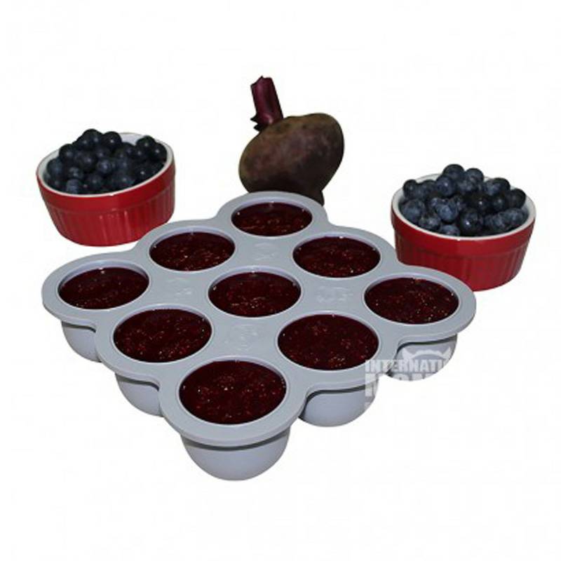 Kiddo Feedo 미국식이유식냉동그리드해외버전