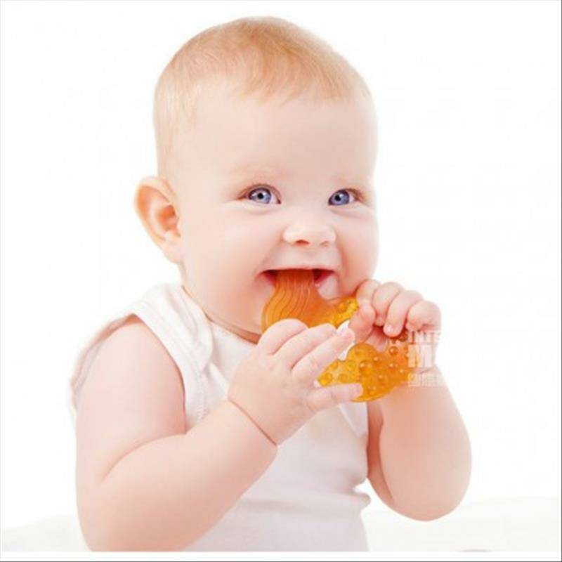 Caaocho 캐나다 Caaocho 아기천연고무작은물고기이빨해외버전