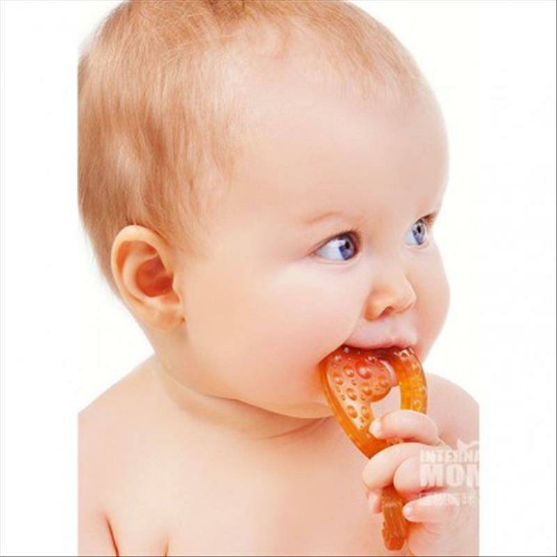 Caaocho 캐나다 Caaocho 아기천연고무작은물고기이빨해외버전