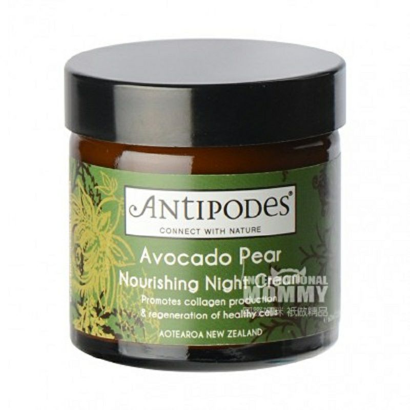 ANTIPODES 뉴질랜드 ANTIPODES 아보카도영양나이트크림임산부해외판