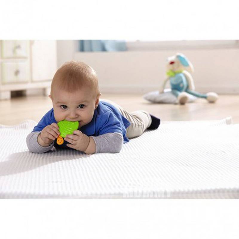 HABA 독일 HABA 아기가작은생선치약해외버전을진정