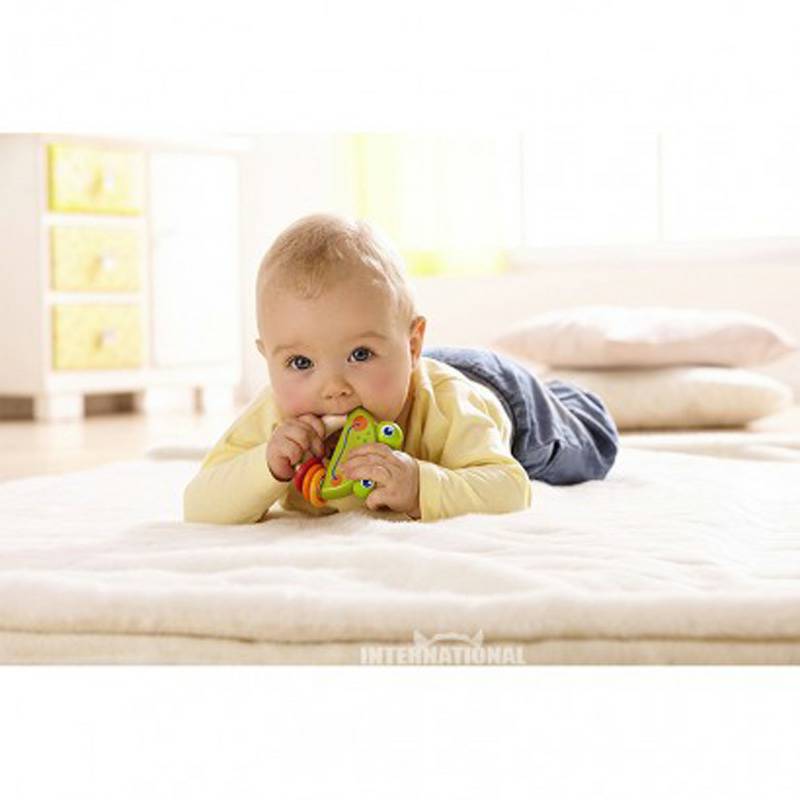 HABA 독일 HABA 아기개구리물린해외버전