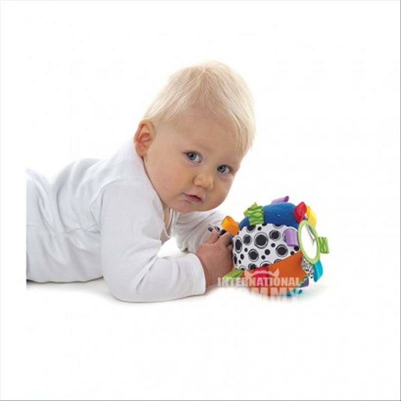 Playgro 호주 Playgro 애기퍼즐볼해외버전