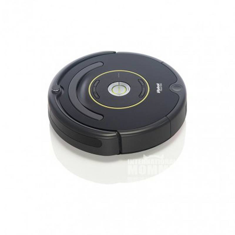 IRobot 미국 IRObot 지능형스위핑로봇 Roomba650 해외버전