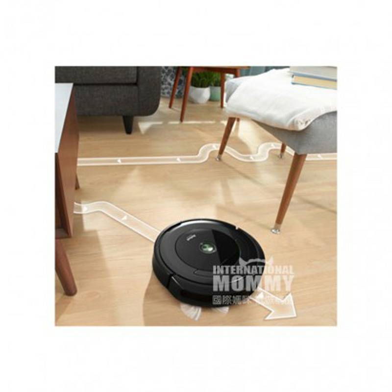 IRobot 미국 IRObot 지능형스위핑로봇 Roomba650 해외버전