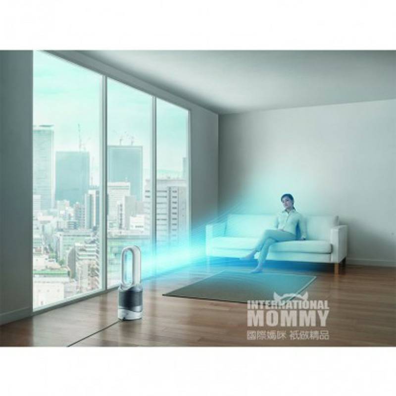 Dyson 영국공기정화무엽선풍기해외판