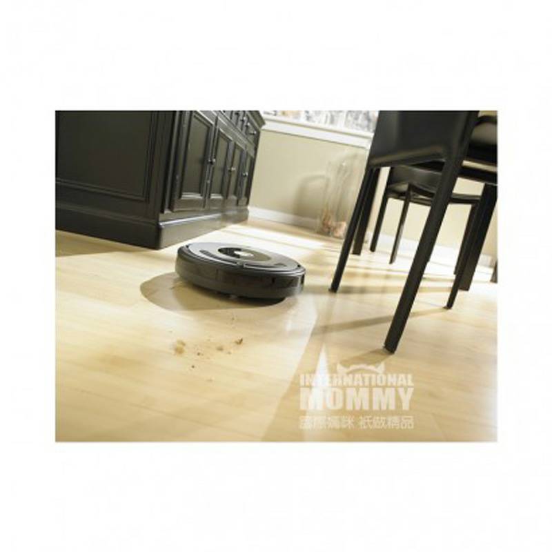 IRobot 미국 IRObot 지능형스위핑로봇 Roomba615 해외버전
