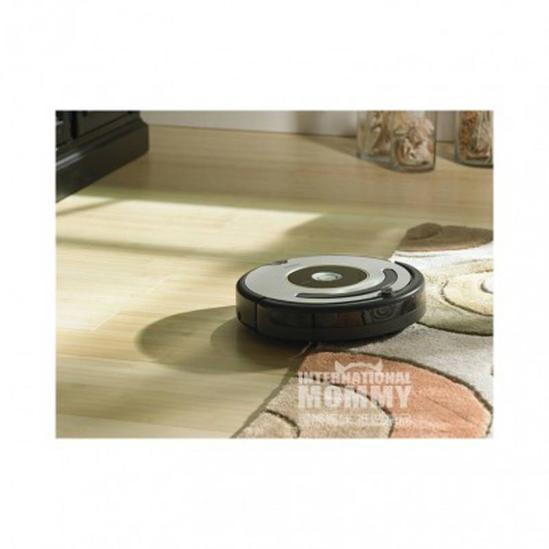 IRobot 미국 IRObot 지능형스위핑로봇 Roomba615 해외버전