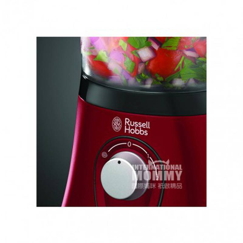 Russell Hobbs 러셀홉스다기능식품가공기 19006-56 해외버전