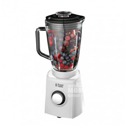 Russell Hobbs 러셀홉스블렌더쥬서 18995-56 해외...