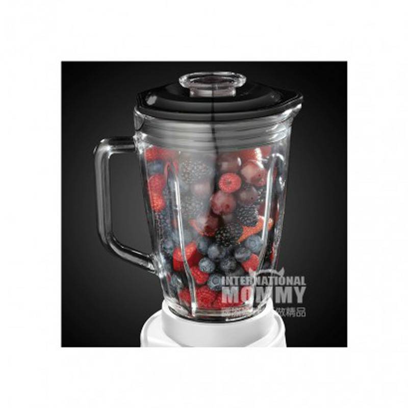 Russell Hobbs 러셀홉스블렌더쥬서 18995-56 해외판