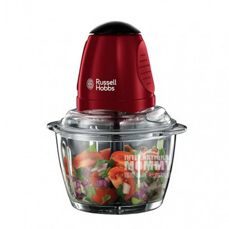 Russell Hobbs 영국 Russell Hobbs 다목적믹서기분쇄기 20320 - 56 해외버전