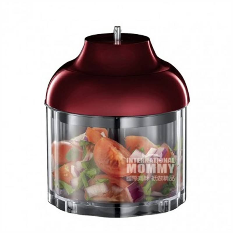 Russell Hobbs 영국 Russell Hobbs 3 in 1 믹서기요리스틱세트 18986 - 56 해외버전