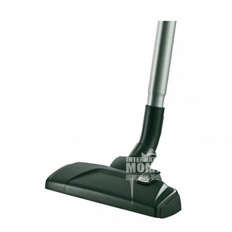 AEG 독일 AEG 가정용바닥카펫진공청소기 903151834 해외버전