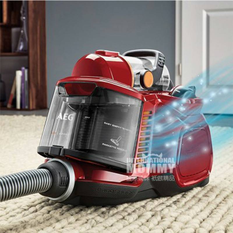 AEG 독일 AEG 가정용바닥카펫백리스진공청소기 900274267 해외버전
