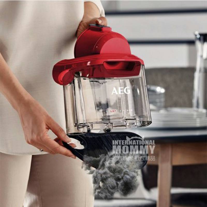 AEG 독일 AEG 가정용바닥카펫백리스진공청소기 900274267 해외버전