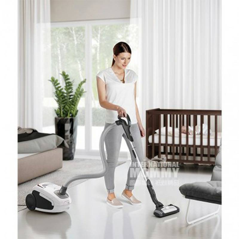 AEG 독일 AEG 가정용바닥카펫먼지봉투진공청소기 VX8-2-IW-A 해외버전