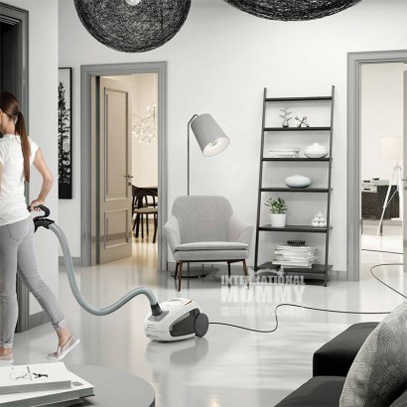 AEG 독일 AEG 가정용바닥카펫먼지봉투진공청소기 VX8-2-IW-A 해외버전