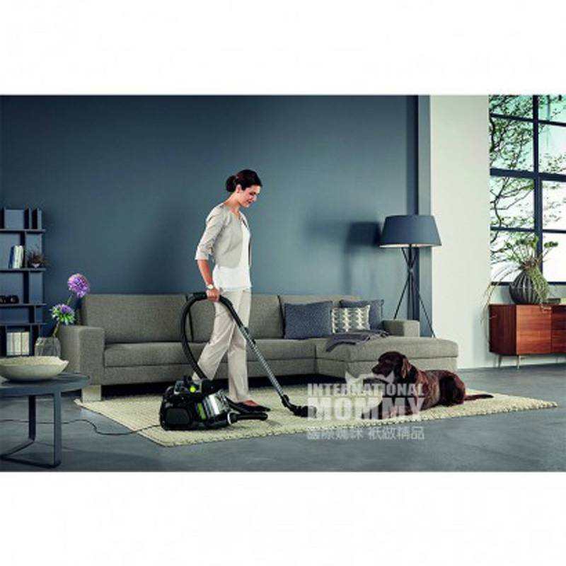 AEG 독일 AEG 가정용플로어카페트백리스청소기 LX7-1-ECO 해외판