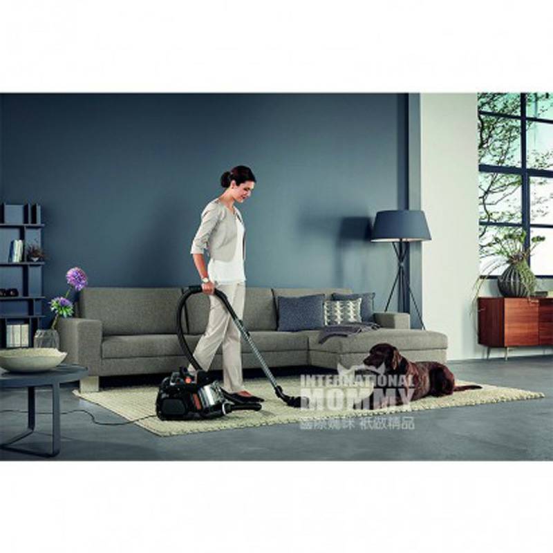 AEG 독일 AEG 가정용플로어카페트백리스청소기 LX7-1-EB-A 해외판