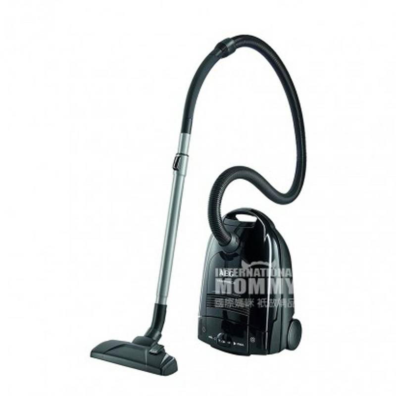 AEG 독일 AEG 가정용바닥카펫먼지봉투진공청소기 903151840 해외버전