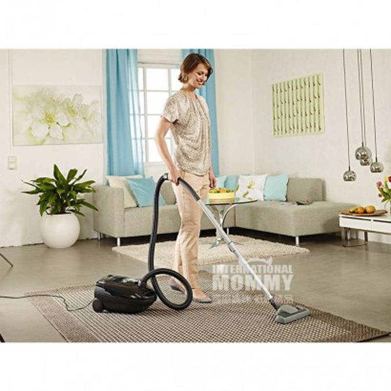 AEG 독일 AEG 가정용바닥카펫먼지봉투진공청소기 903151840 해외버전