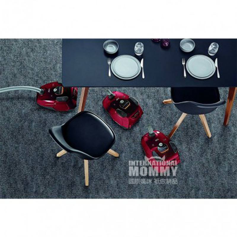 AEG 독일 AEG 가정용바닥카페트샌드백진공청소기 VX7 - 1 - WR - P 해외버전